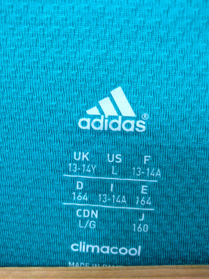 Adidas English Green Dri Fit Tee