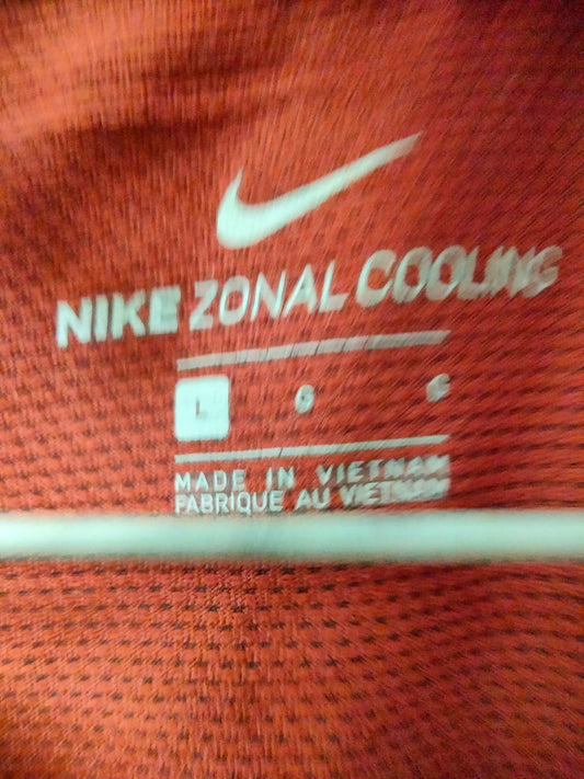 Nike Dri Fit Mehroon Tee